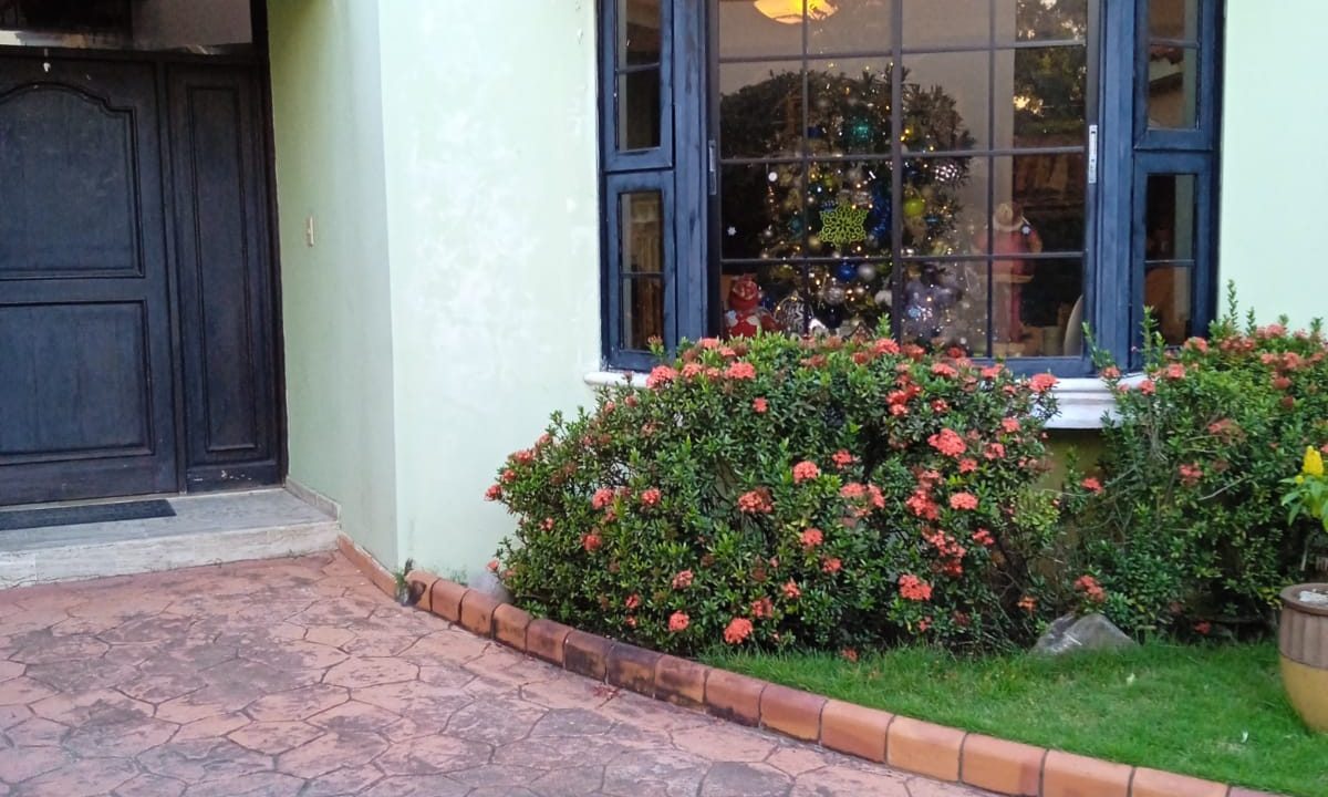 05D8101A-1B35-4D42-BF74-59DD7B4C9452