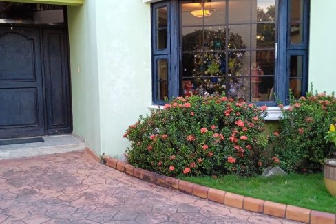 05D8101A-1B35-4D42-BF74-59DD7B4C9452